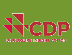 CDP认证主要包含的四个内容