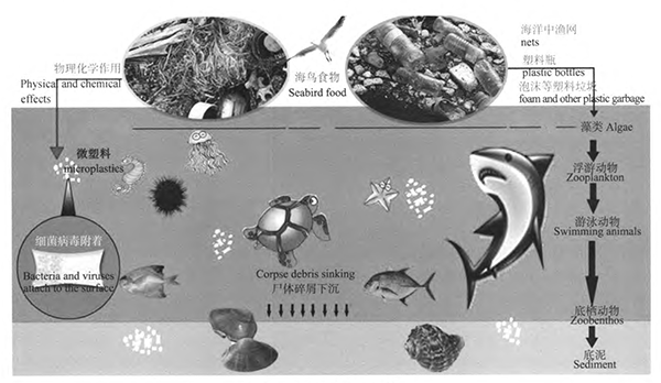 OBP海洋塑料认证