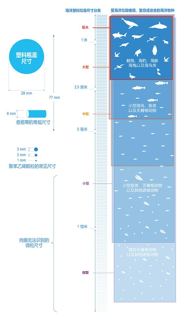 OBP认证